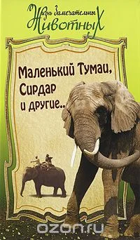 Обложка книги «Маленький Тумаи, Сирдар и другие…»