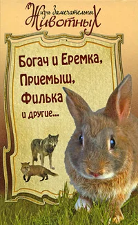 Обложка книги «Богач и Еремка, Приемыш, Филька и другие…»