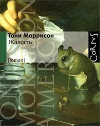 Обложка книги «Жалость»