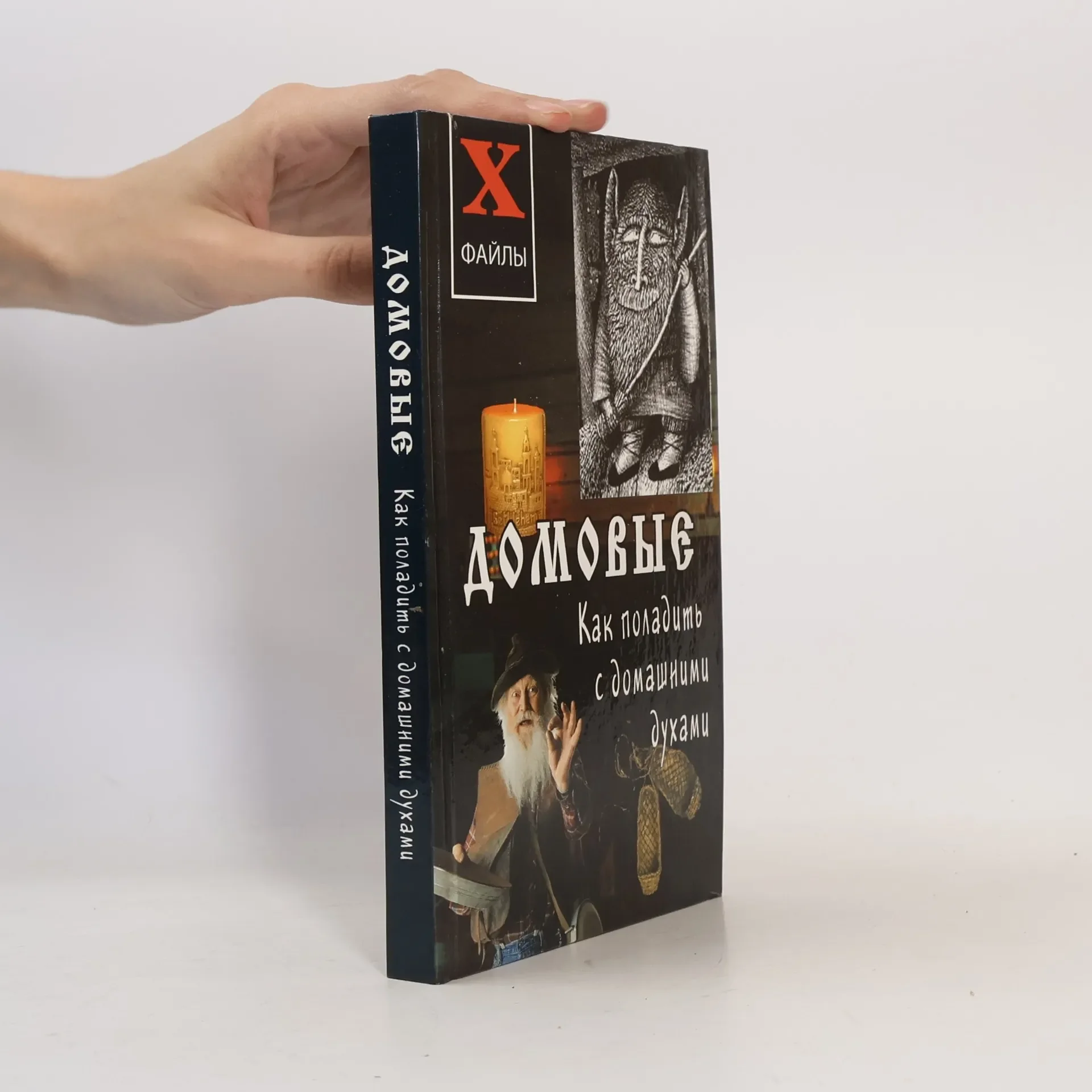 Обложка книги «Домовые»