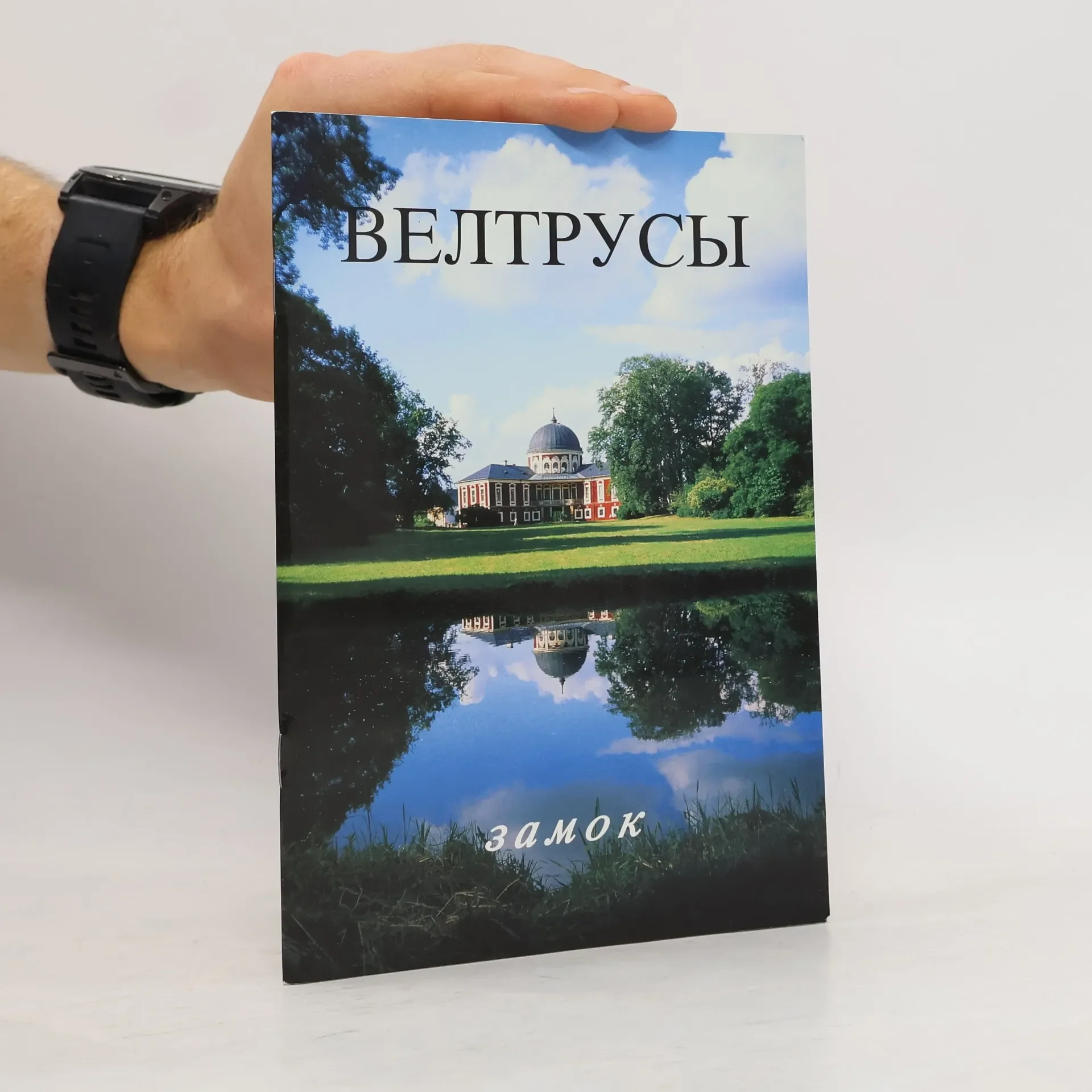 Обложка книги «Beltrusy»