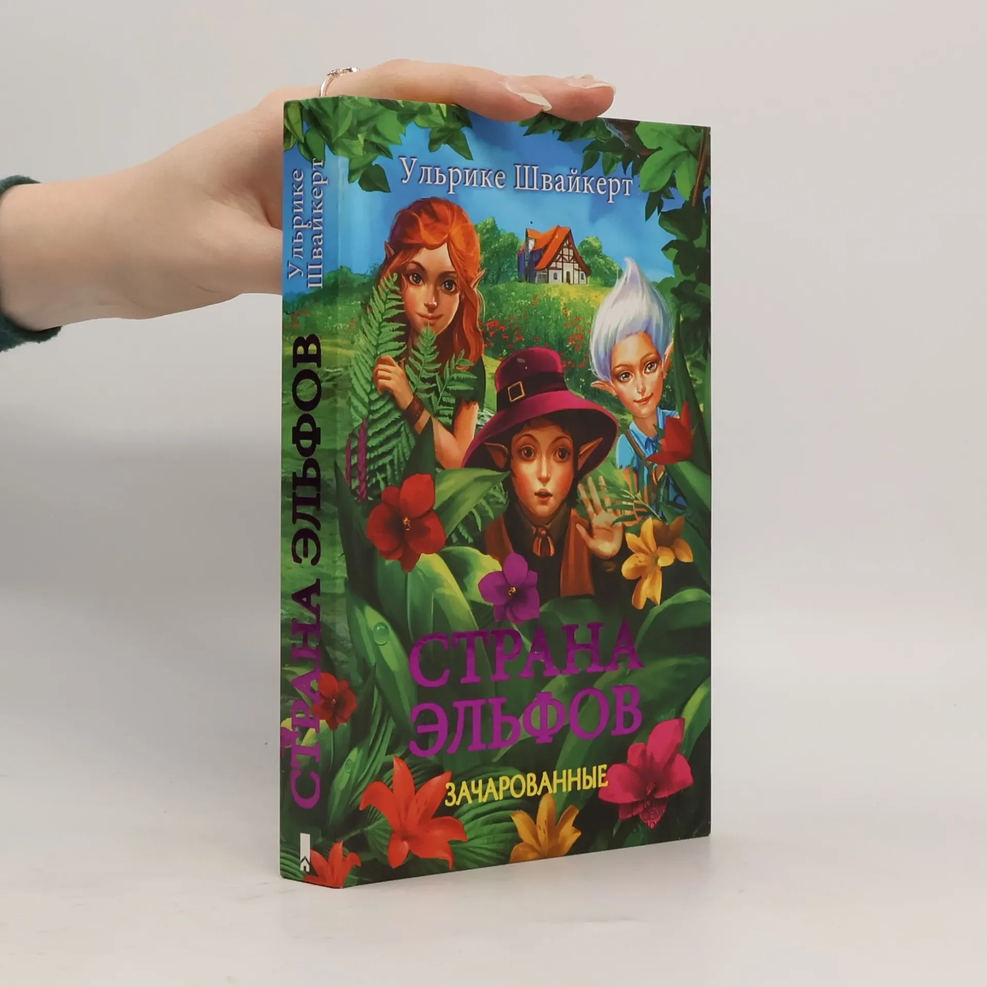 Обложка книги «Страна эльфов»