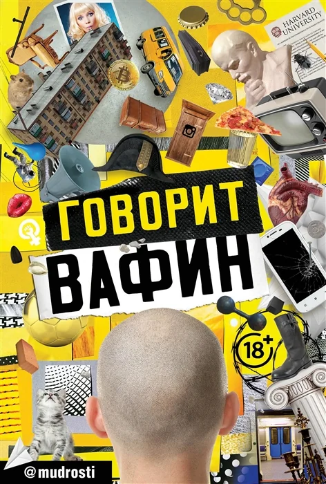Обложка книги «Говорит Вафин»