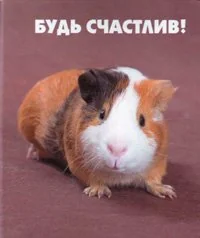 Обложка книги «Будь счастлив!»