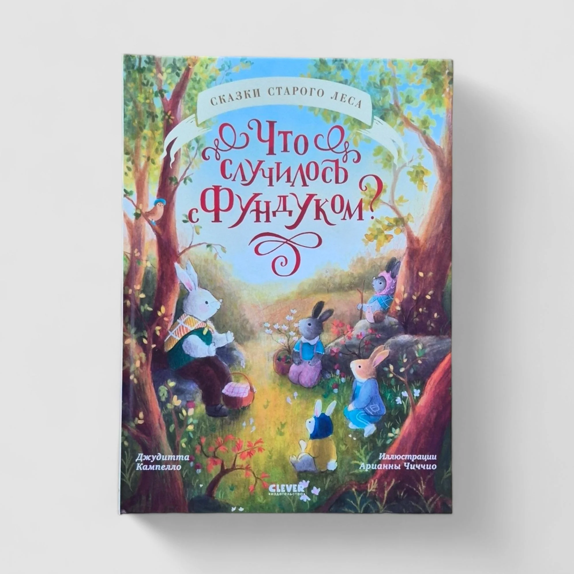 Обложка книги «Что случилось с Фундуком?»