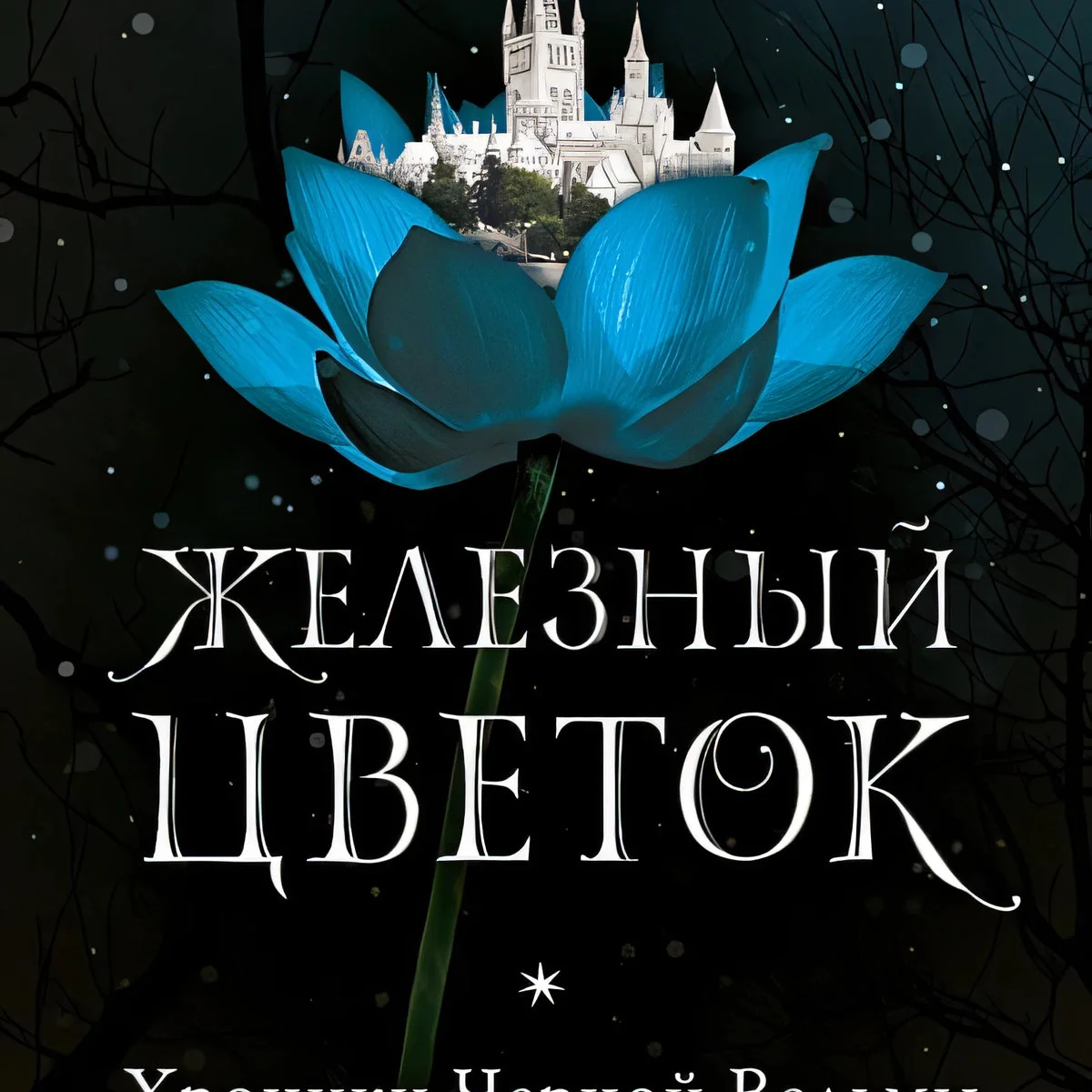 Обложка книги «Хроники Черной Ведьмы. Железный цветок»