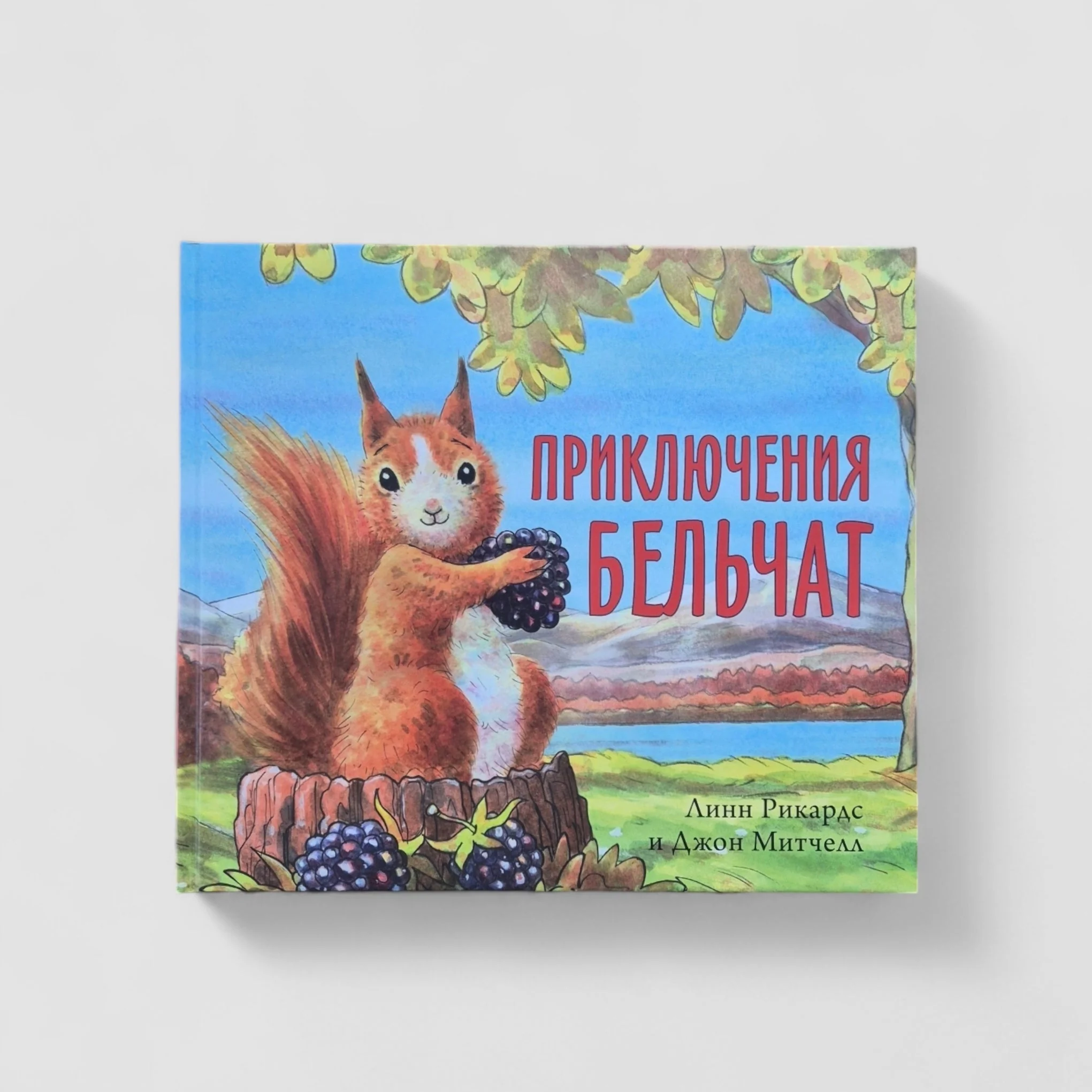 Обложка книги «Приключения бельчат»