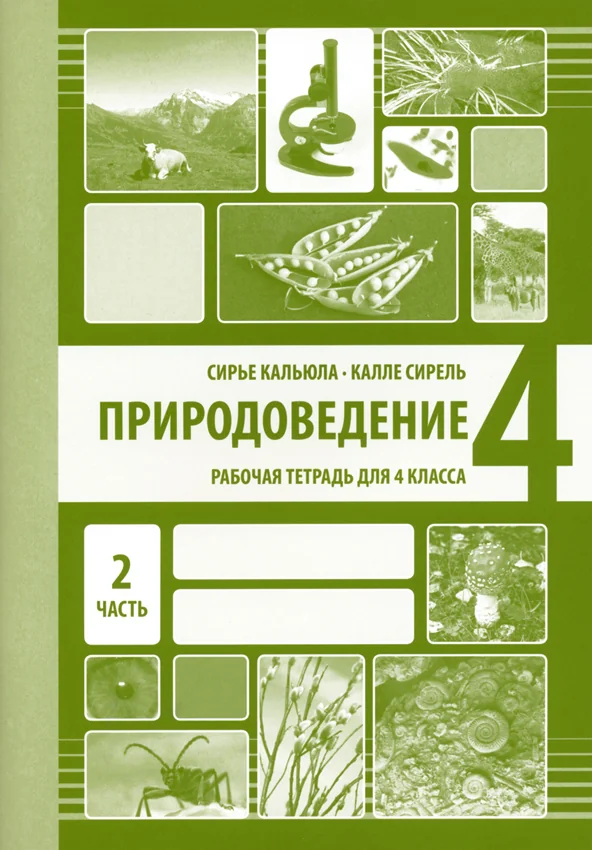 Обложка книги «ПРИРОДОВЕДЕНИЕ РТ 4 КЛ 2»