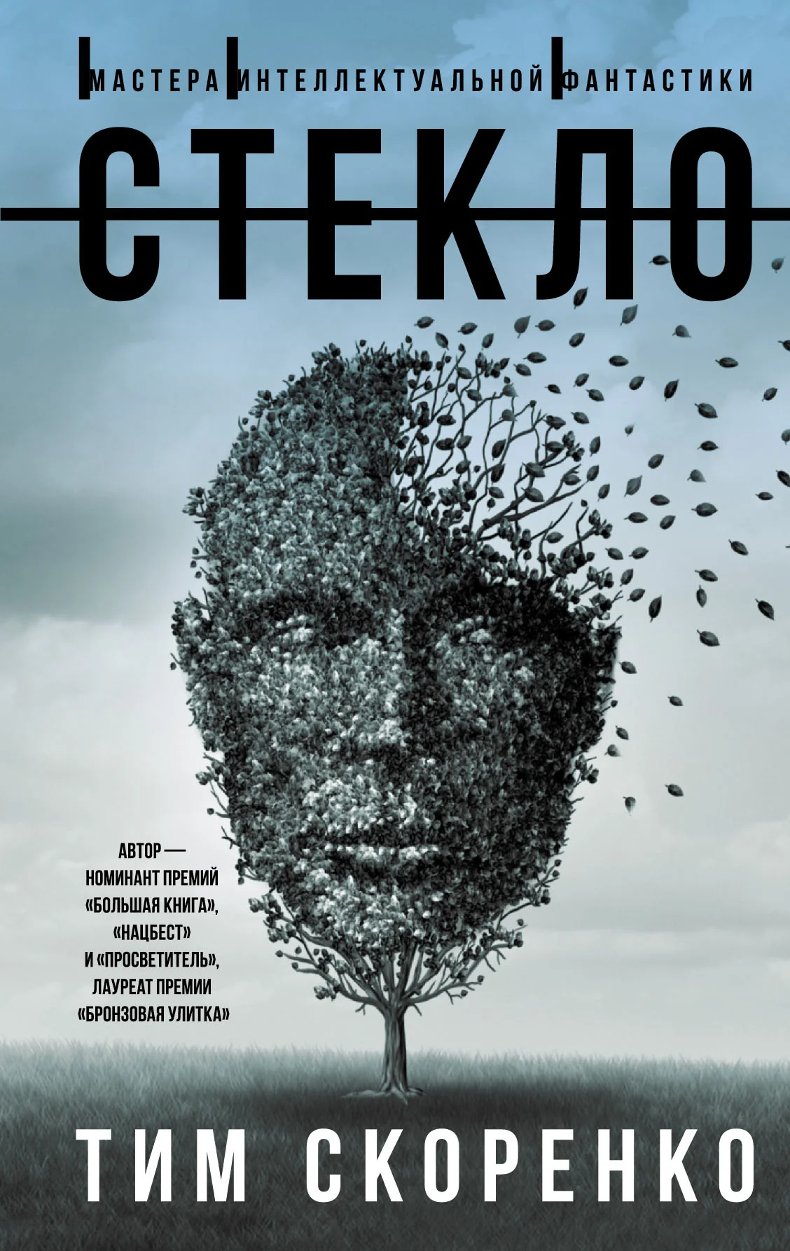 Обложка книги «Стекло»