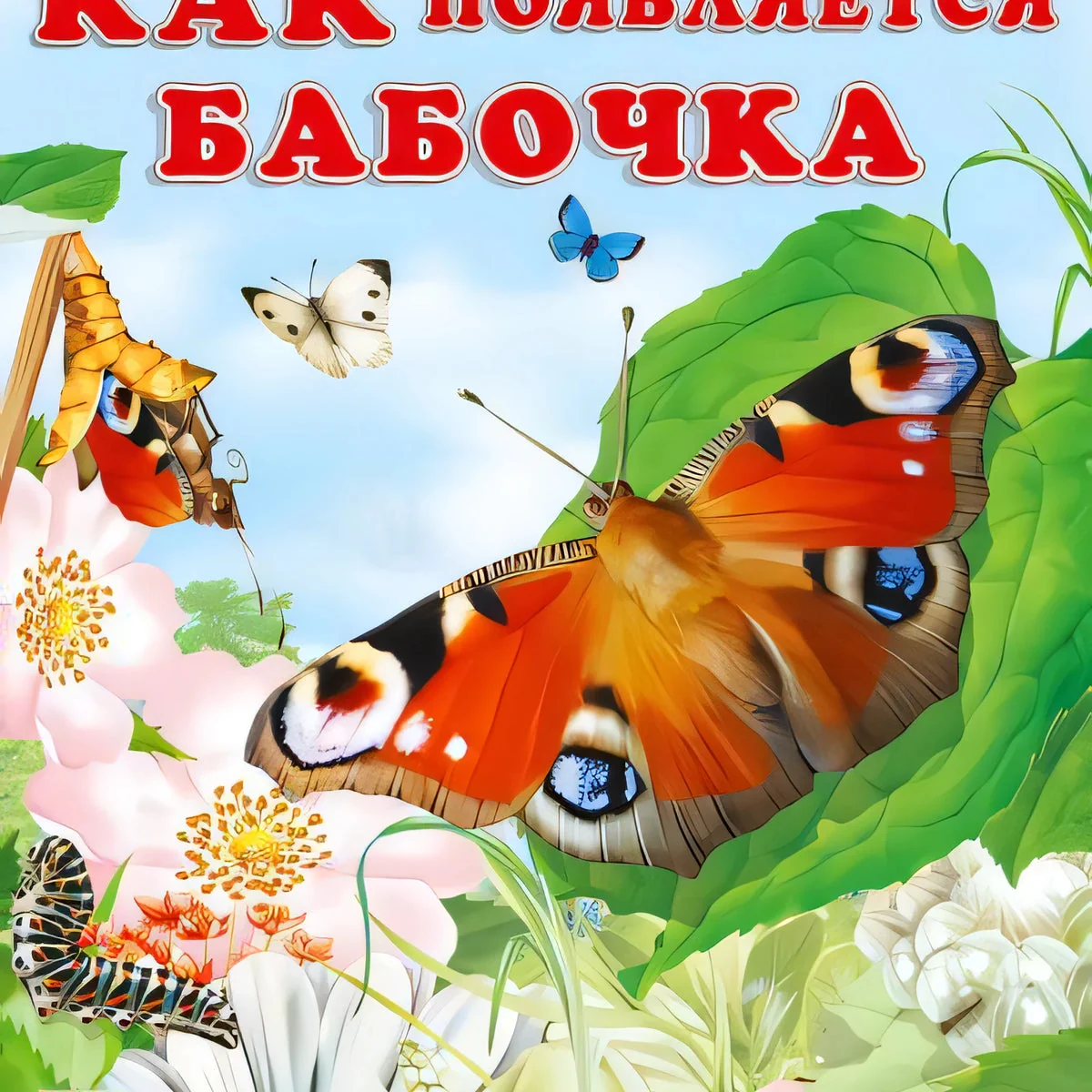 Обложка книги «Как появляется бабочка»