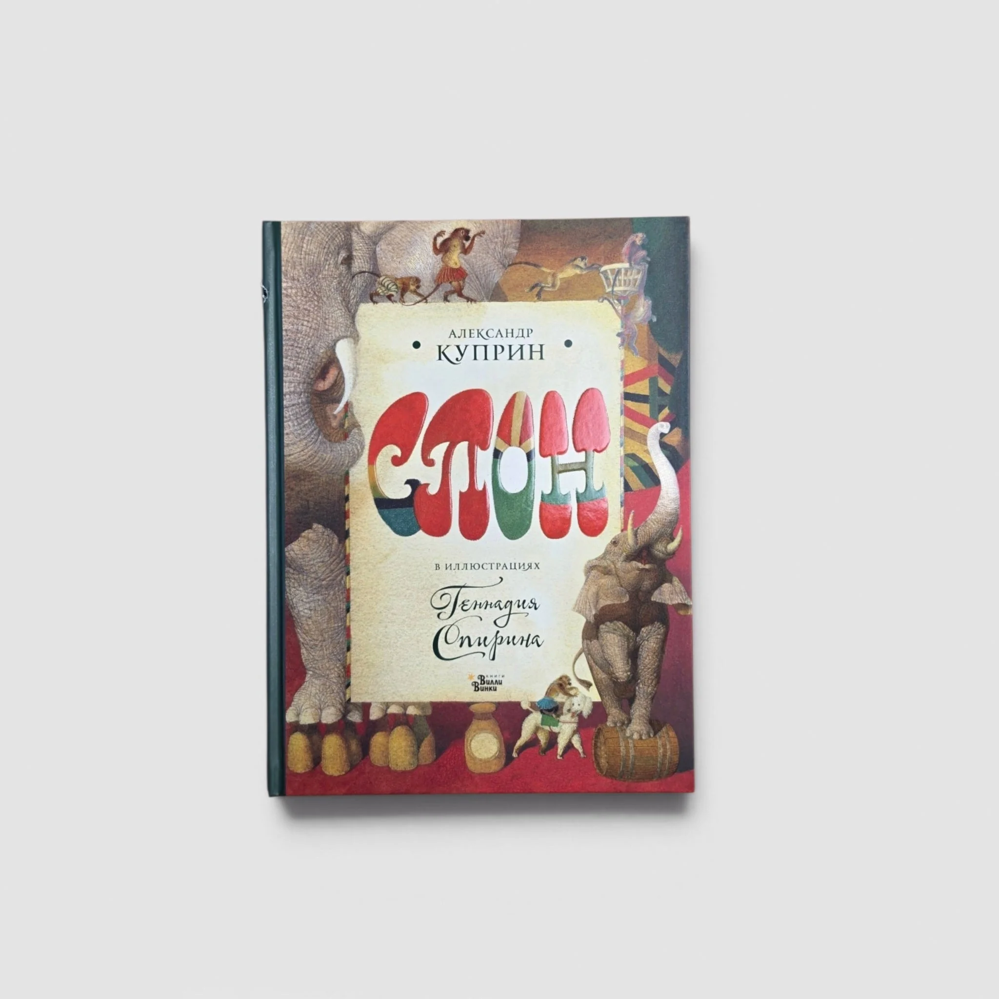 Обложка книги «Слон (внешний дефект)»