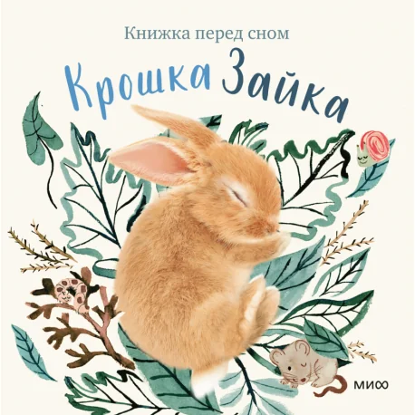 Обложка книги «Крошка Зайка»