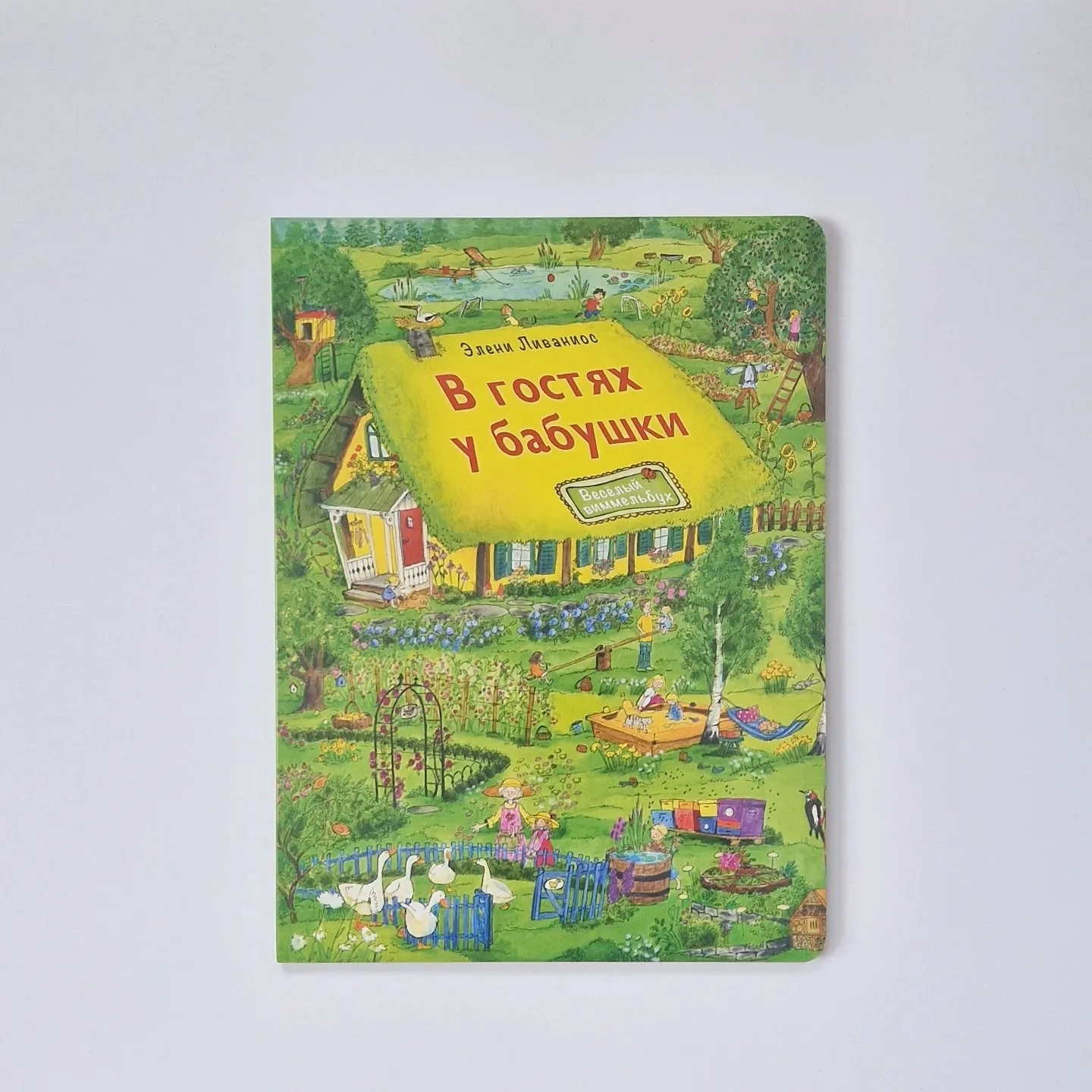 Обложка книги «В гостях у бабушки»