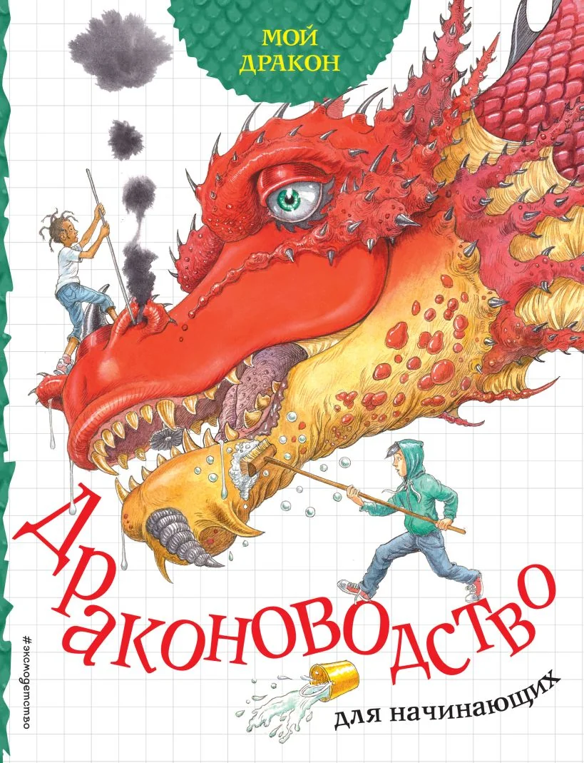 Обложка книги «Мой дракон. Драконоводство для начинающих»