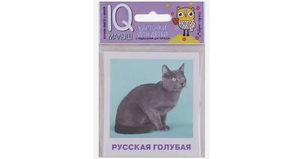 Обложка книги «Породы кошек (Умный малыш. Набор карточек для детей)»