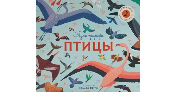 Обложка книги «Птицы (Звуки природы)»