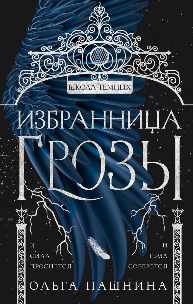 Обложка книги «Избранница грозы (Школа темных #1)»