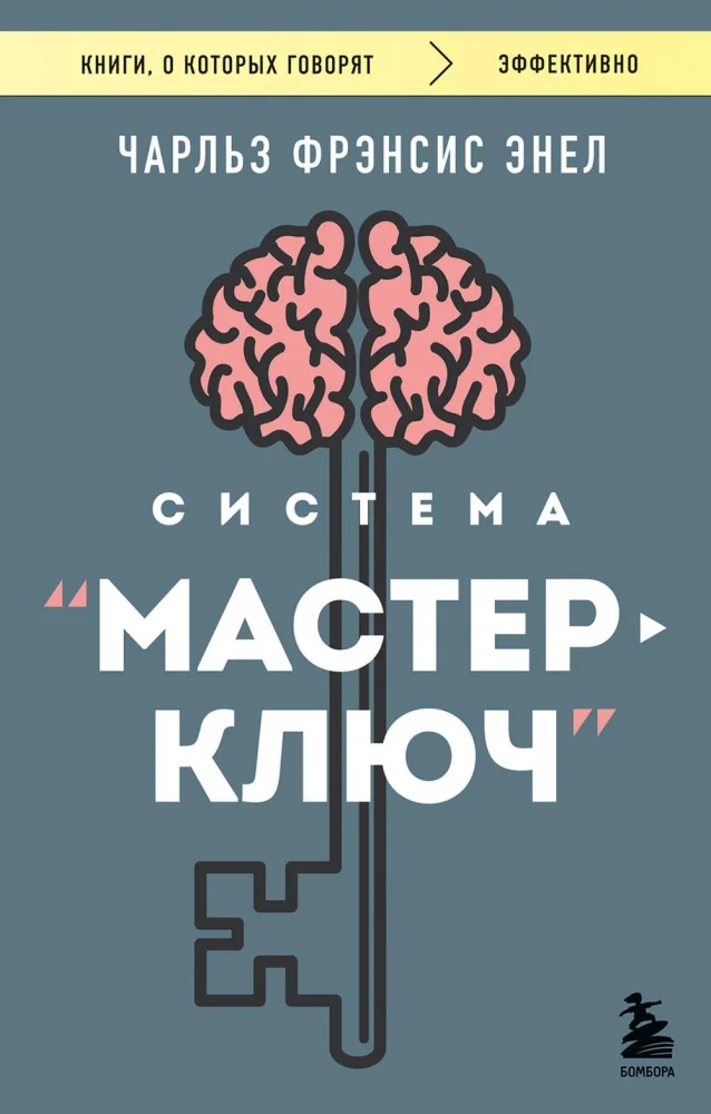 Обложка книги «Система “Мастер-ключ”»
