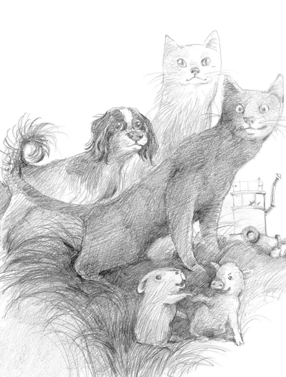 Обложка книги «Кот Тихон и новые испытания»