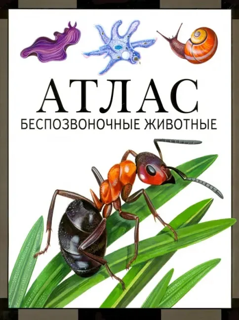 Обложка книги «Атлас. Беспозвоночные животные»