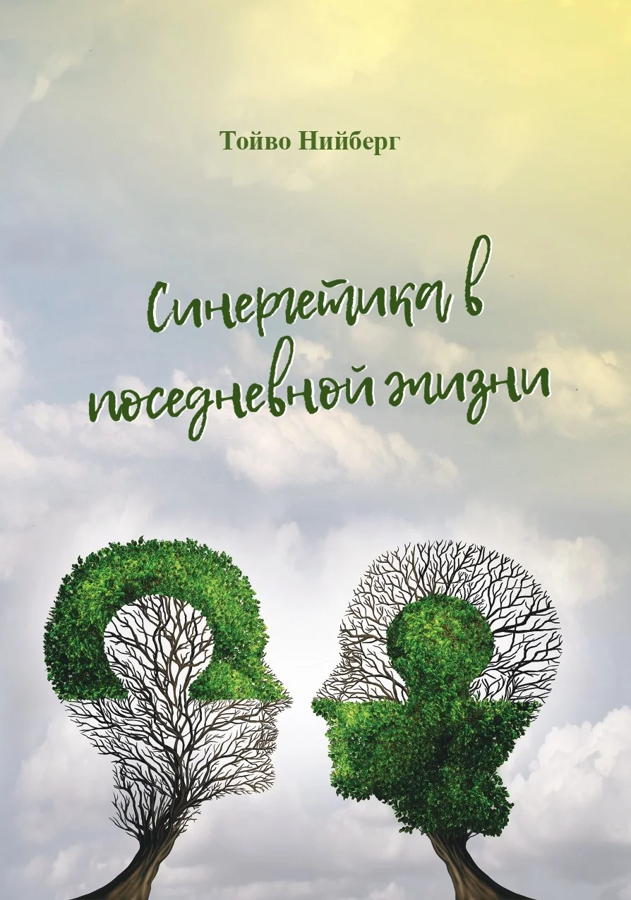 Обложка книги «Синергетика в повседневной жизни»