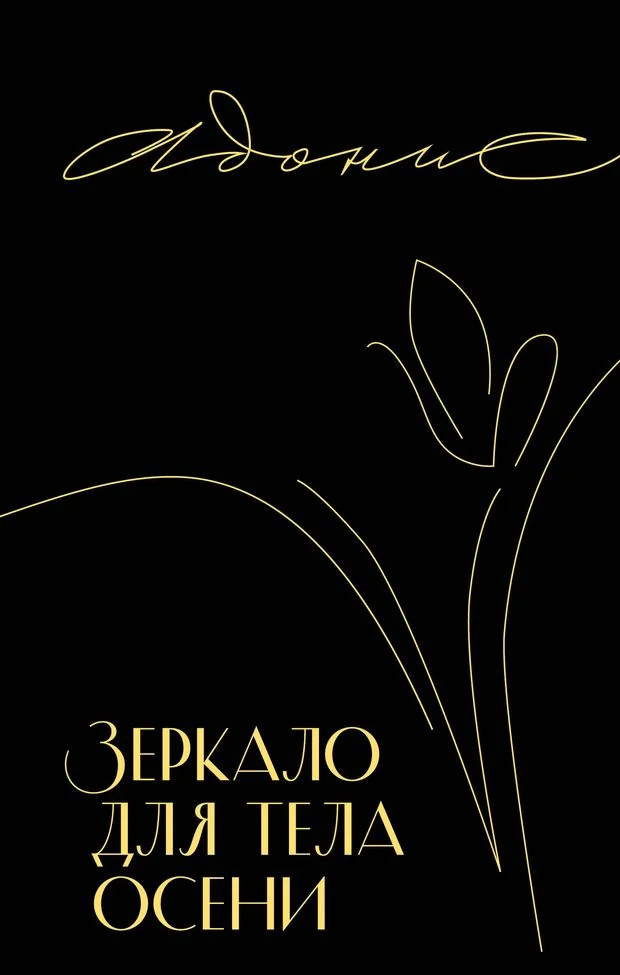 Обложка книги «Зеркало для тела осени»