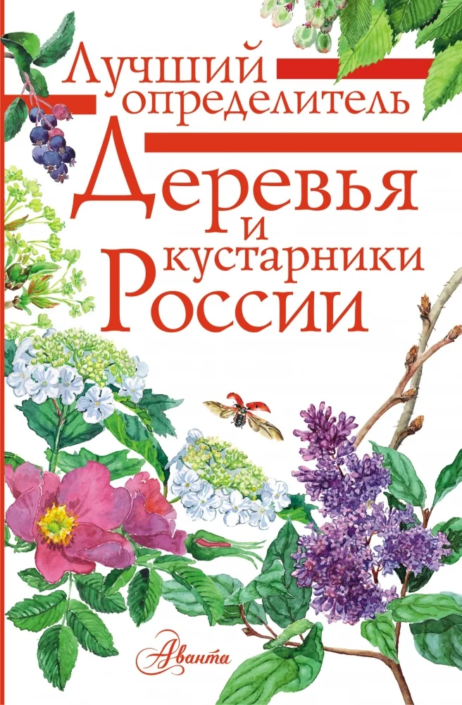 Обложка книги «Деревья и кустарники России. Определитель»