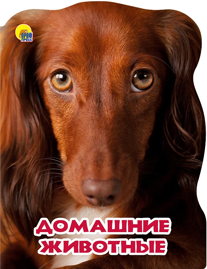 Обложка книги «Домашние животные»