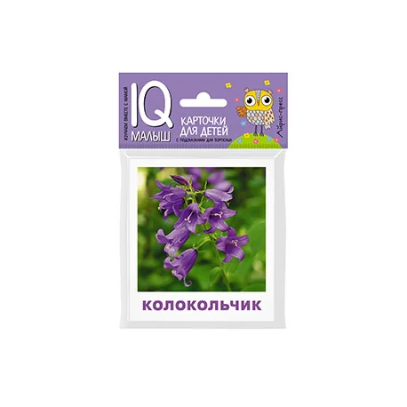 Обложка книги «Умный малыш. Что растёт на клумбе? Набор карточек для детей»