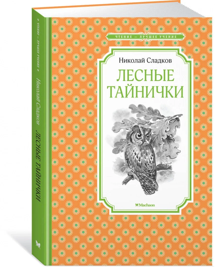 Обложка книги «Лесные тайнички»