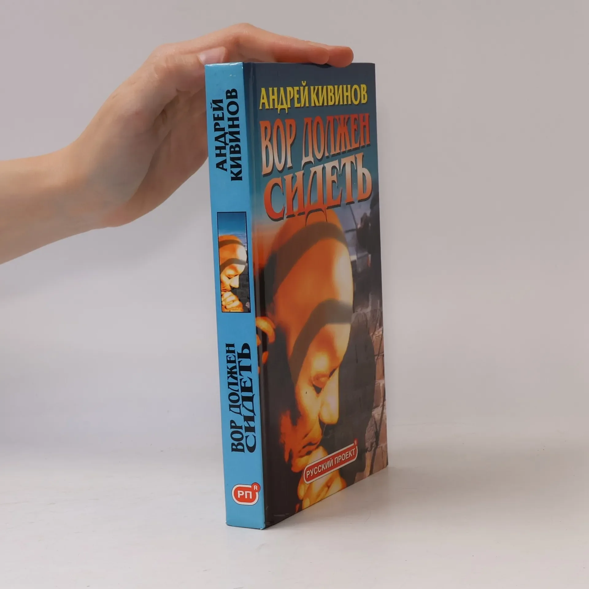 Обложка книги «Вор должен сидеть»