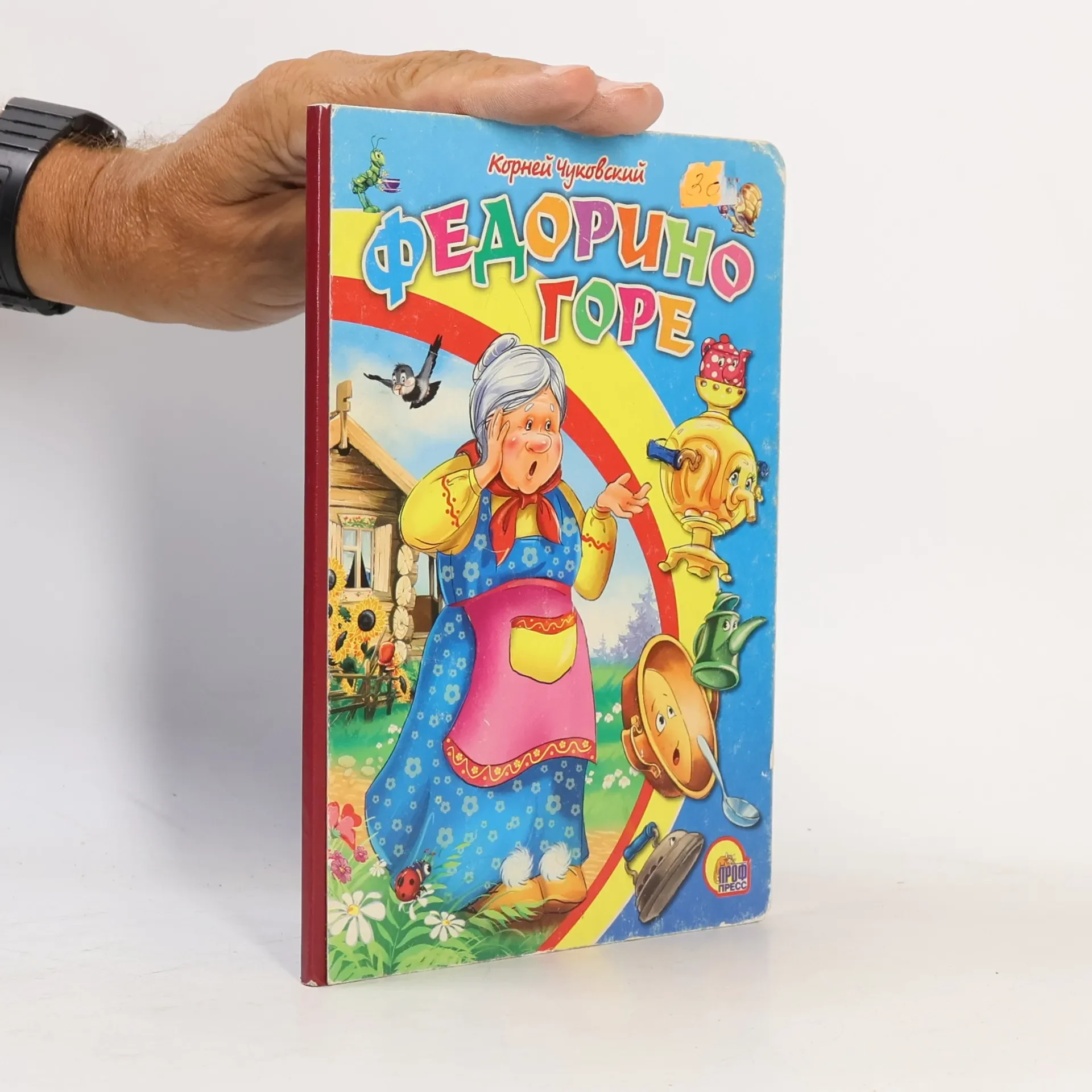 Обложка книги «Федорино горе»