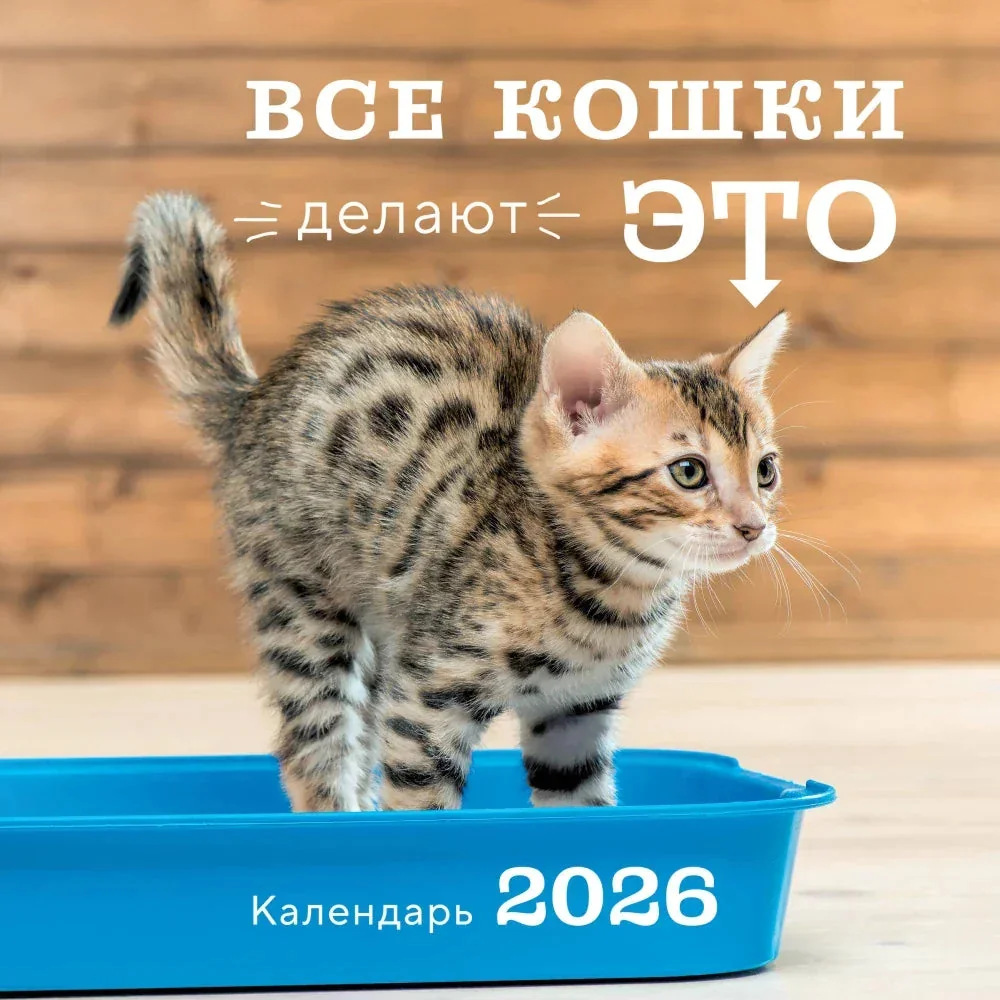Обложка книги «Все кошки делают это. Календарь настенный на 2026 год»