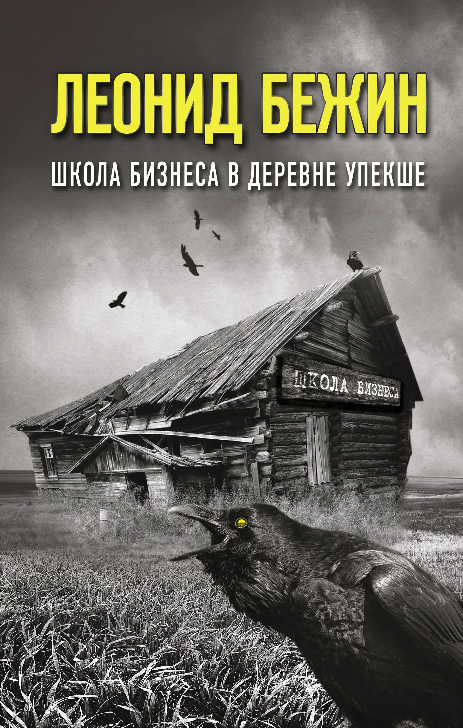 Обложка книги «Школа бизнеса в деревне Упекше»
