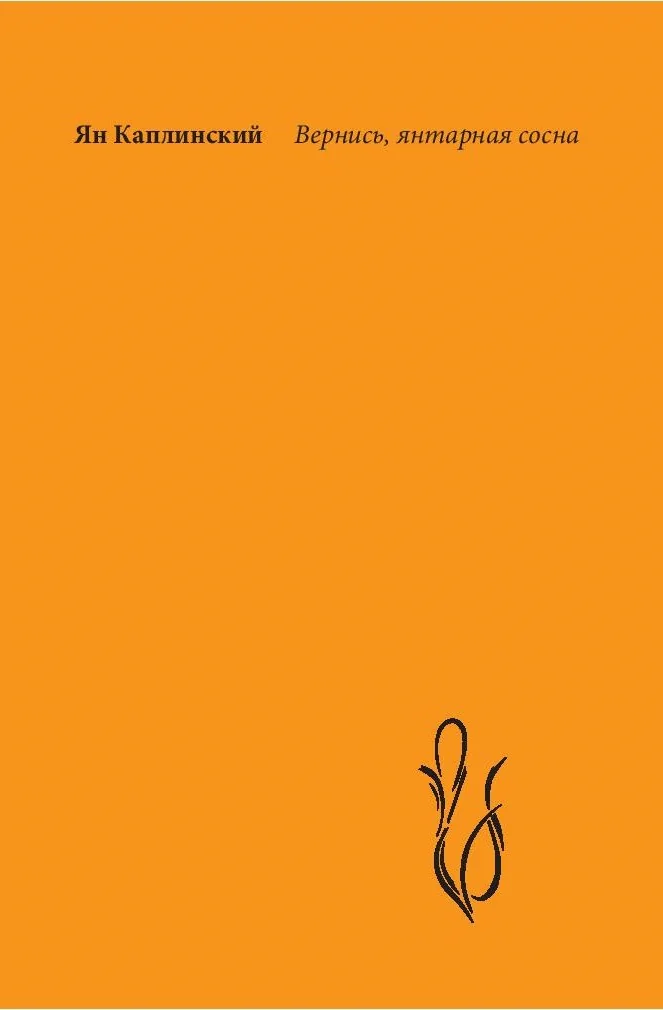 Обложка книги «Вернись, янтарная сосна»