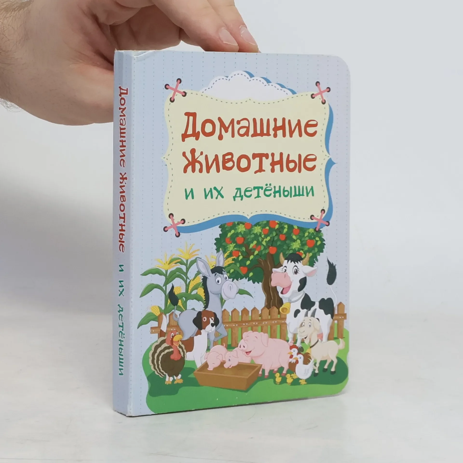 Обложка книги «Домашние животные и их детёныши»