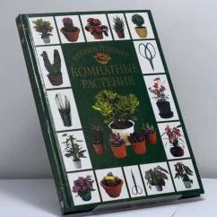 Обложка книги «Неприхотливые комнатные растения»