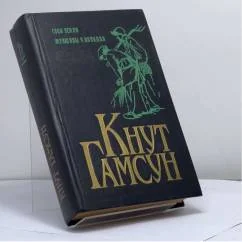 Обложка книги «Дети времени. Местечко Сегельфосс»