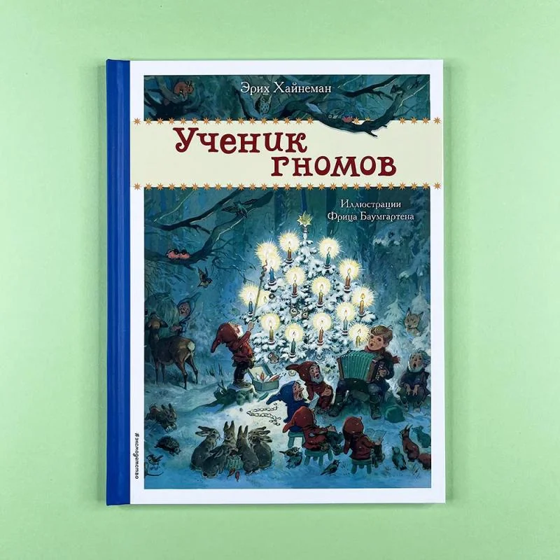 Обложка книги «Ученик гномов»