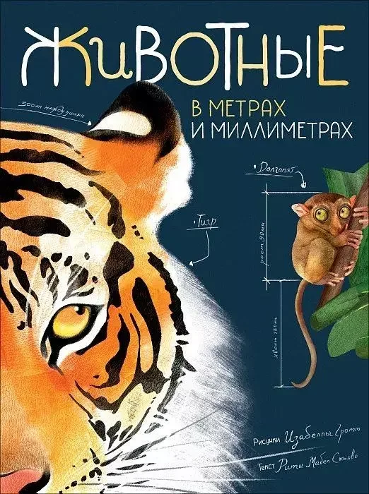 Обложка книги «Животные в метрах и миллиметрах»