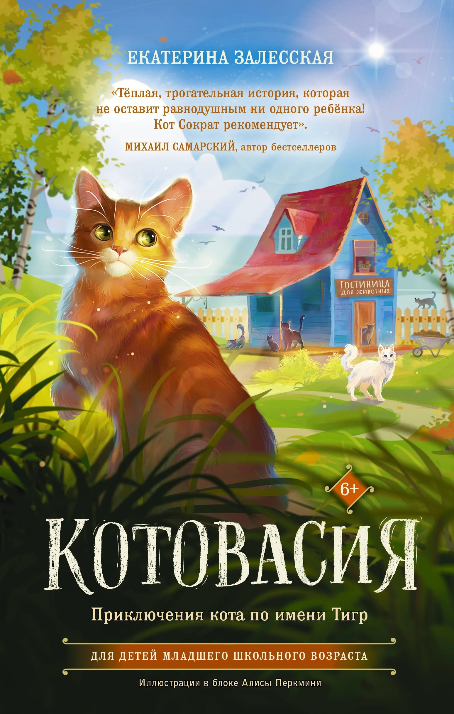 Обложка книги «Котовасия. Приключения кота по имени Тигр. Екатерина Залесская»