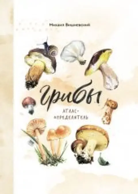 Обложка книги «Грибы. Атлас-определитель»