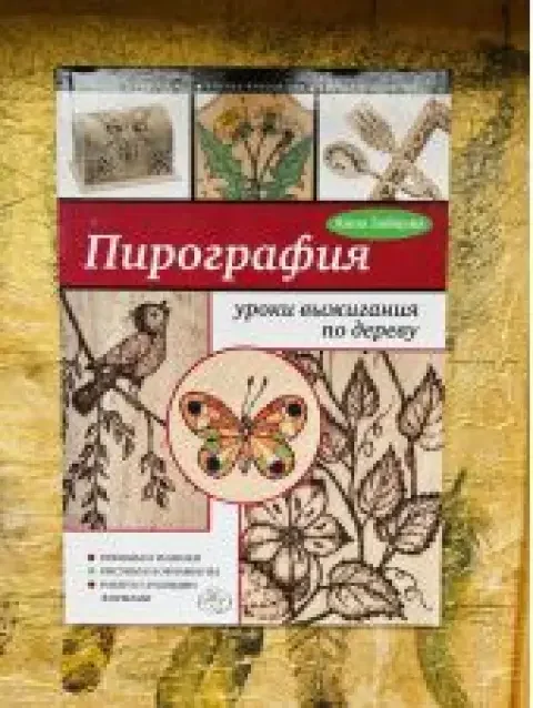 Обложка книги «Пирография. Уроки выжигания по дереву»