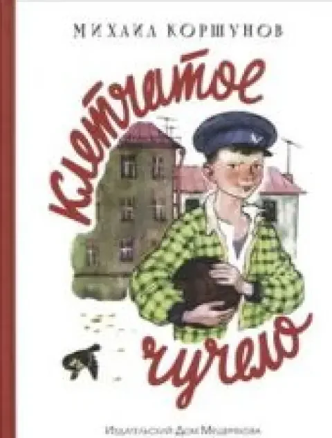 Обложка книги «Клетчатое чучело»