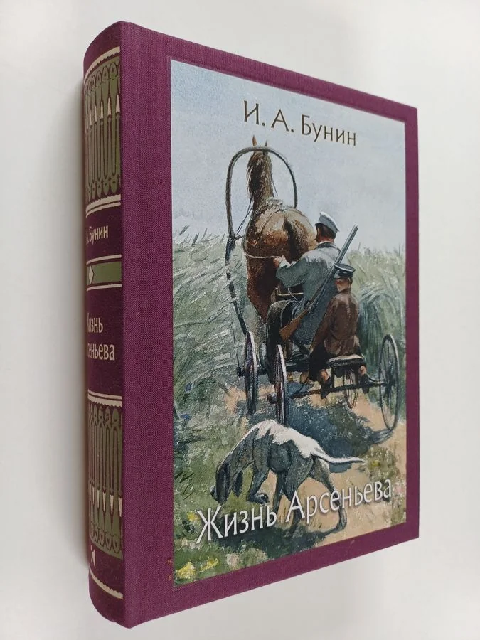 Обложка книги «Жизнь Арсеньева : юность»