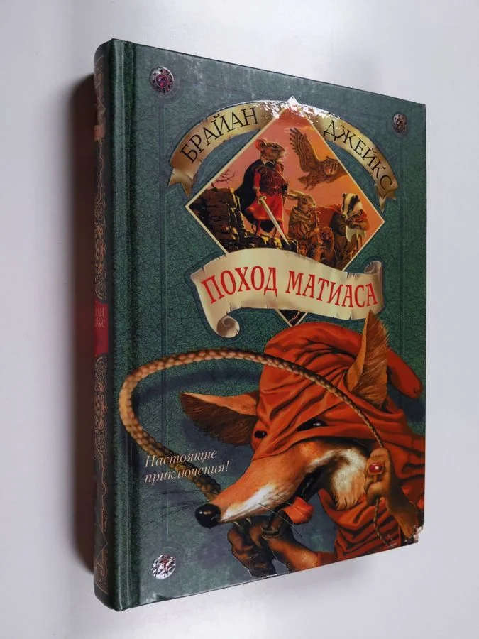 Обложка книги «Поход Матиаса»