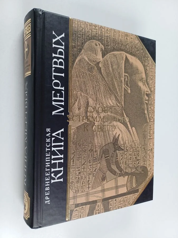 Обложка книги «Жизнь замечательных литераторов. Веселые истории в картинках про серьезных писателей»