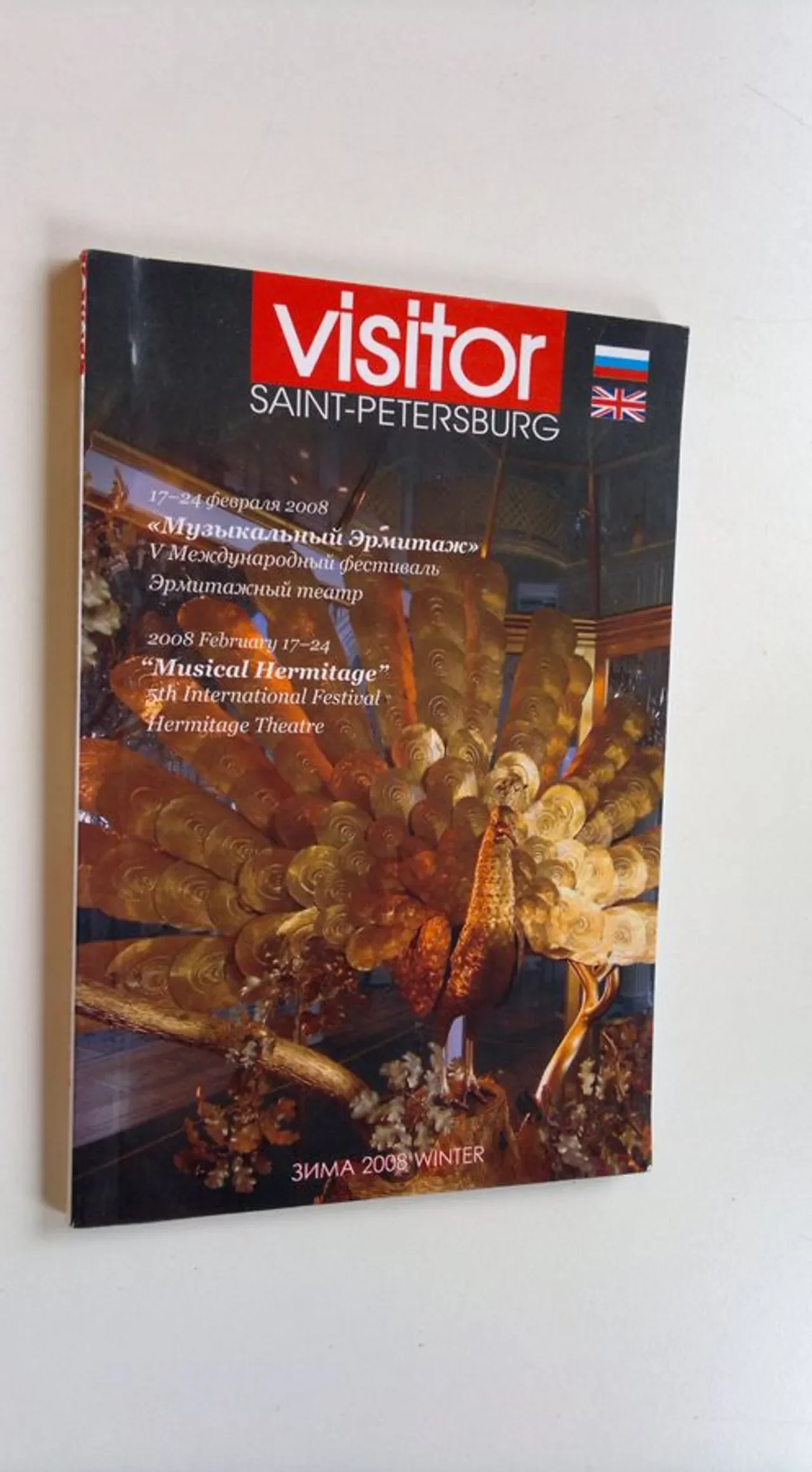 Обложка книги «The Visitor»