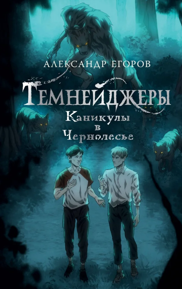 Обложка книги «Темнейджеры. Каникулы в Чернолесье»