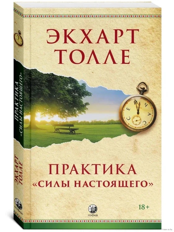 Обложка книги «Практика "Силы настоящего"»